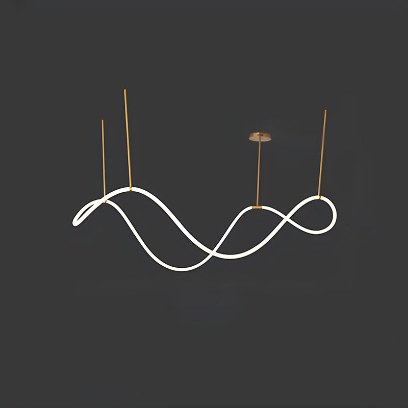 Pendant Light With Long Hose For Dining Room Modern LED Fixture