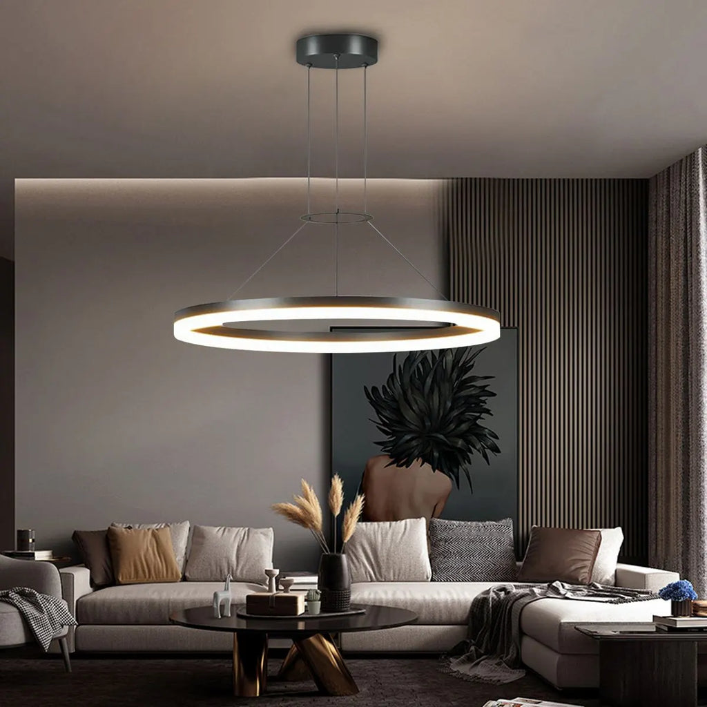 Round Pendant Light For Living Rooms And Kitchens With LED