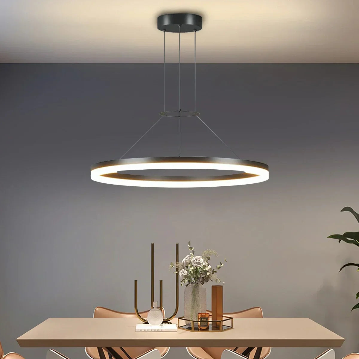 Round Pendant Light For Living Rooms And Kitchens With LED