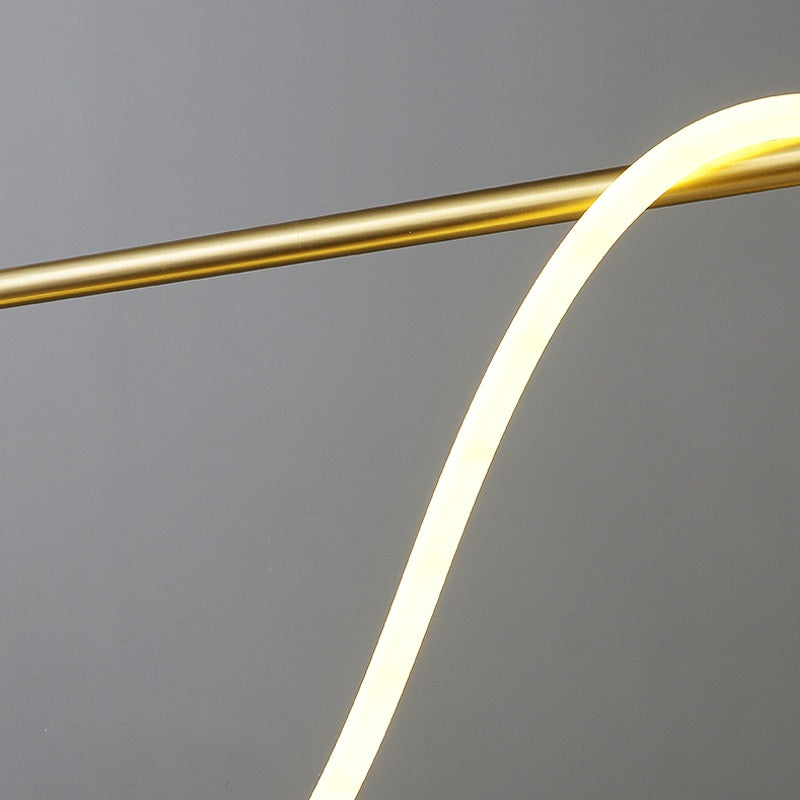 Pendant Light With Long Hose For Dining Room Modern LED Fixture