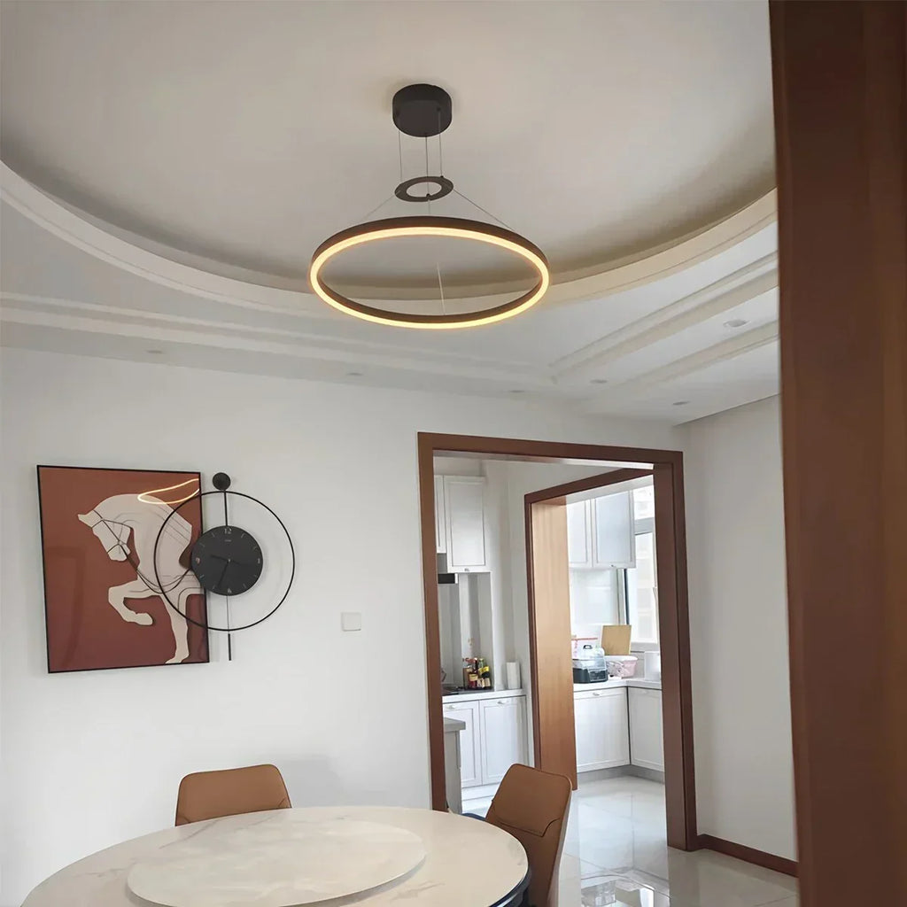 Round Pendant Light For Living Rooms And Kitchens With LED