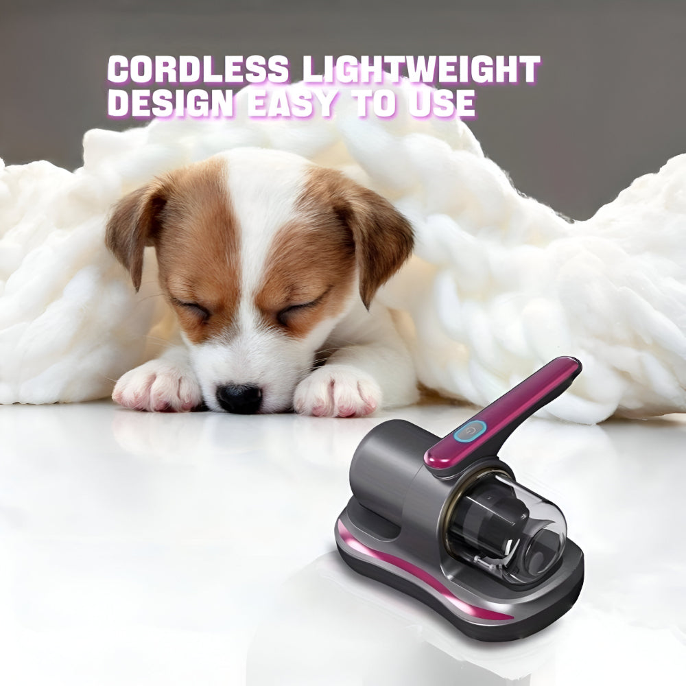Small Cordless Handheld Vacuum With USB Charging For Mattresses And Upholstery