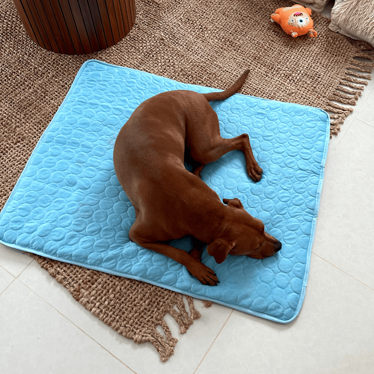 Dog Cooling Mat With Four Times Cooling Power And Durable Design For Hot Weather Comfort