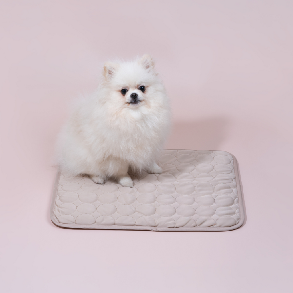 Dog Cooling Mat With Four Times Cooling Power And Durable Design For Hot Weather Comfort