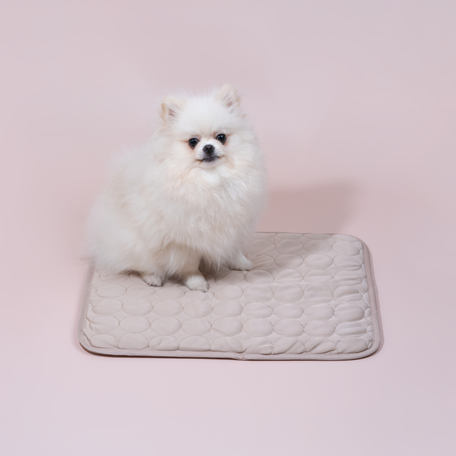 Dog Cooling Mat With Four Times Cooling Power And Durable Design For Hot Weather Comfort
