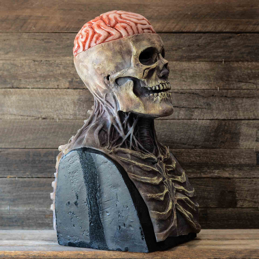 Realistic Skeleton Mask With Movable Jaw For Halloween
