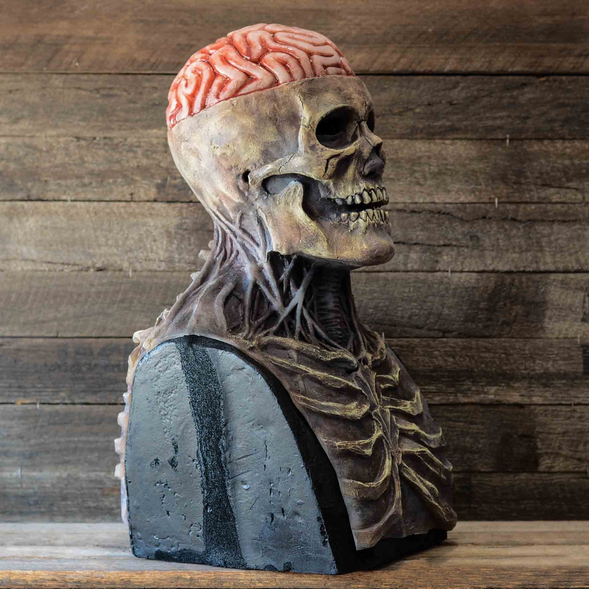 Realistic Skeleton Mask With Movable Jaw For Halloween