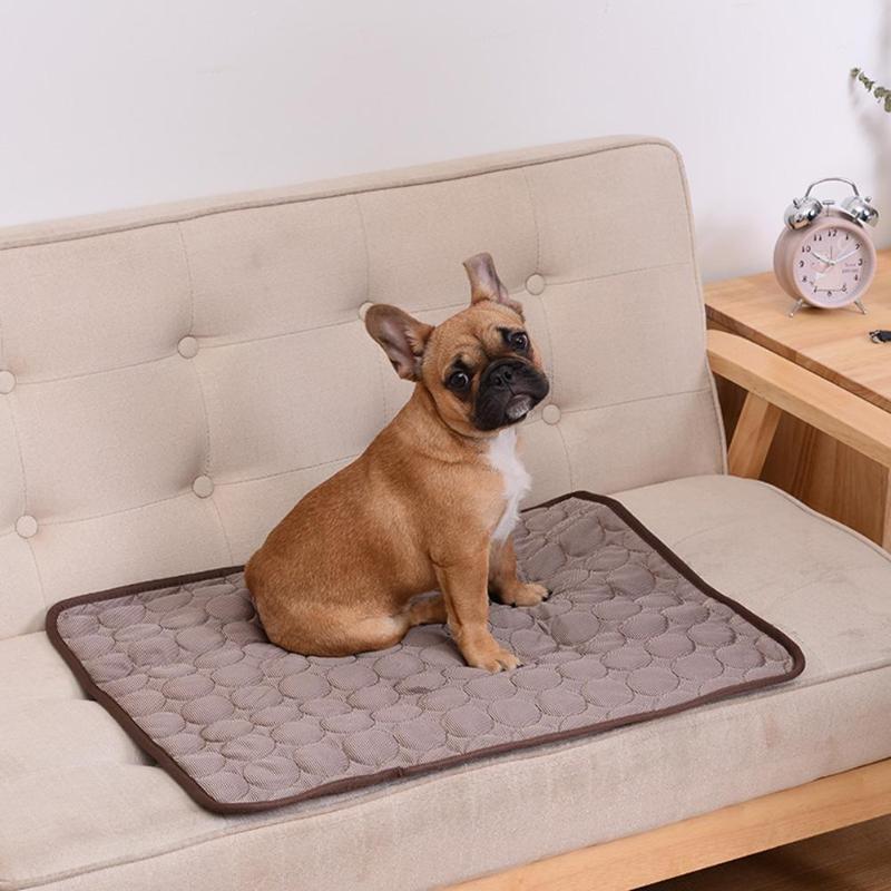 DogCool Cooling Mat With Activated Gel For Hot Days