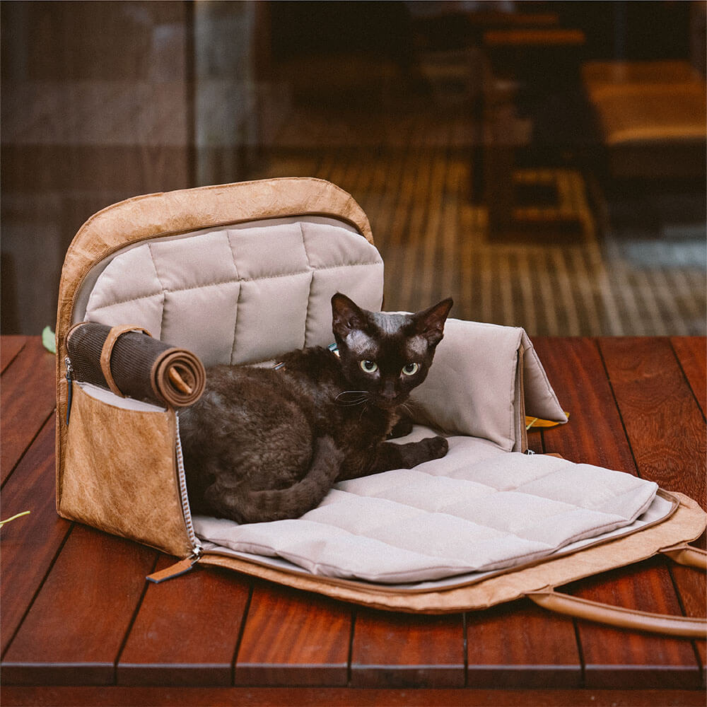 Expandable Eco Friendly Pet Carrier Bag For Travel And Safe Journeys