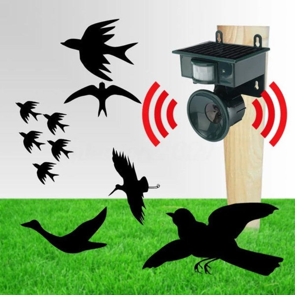 EcoGuard Motion Sensor Bird Deterrent With Natural Sounds