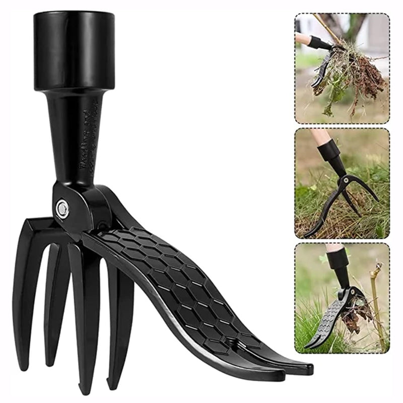 ErgoWeed Stainless Steel Weeder With Detachable Handle For Easy Weeding