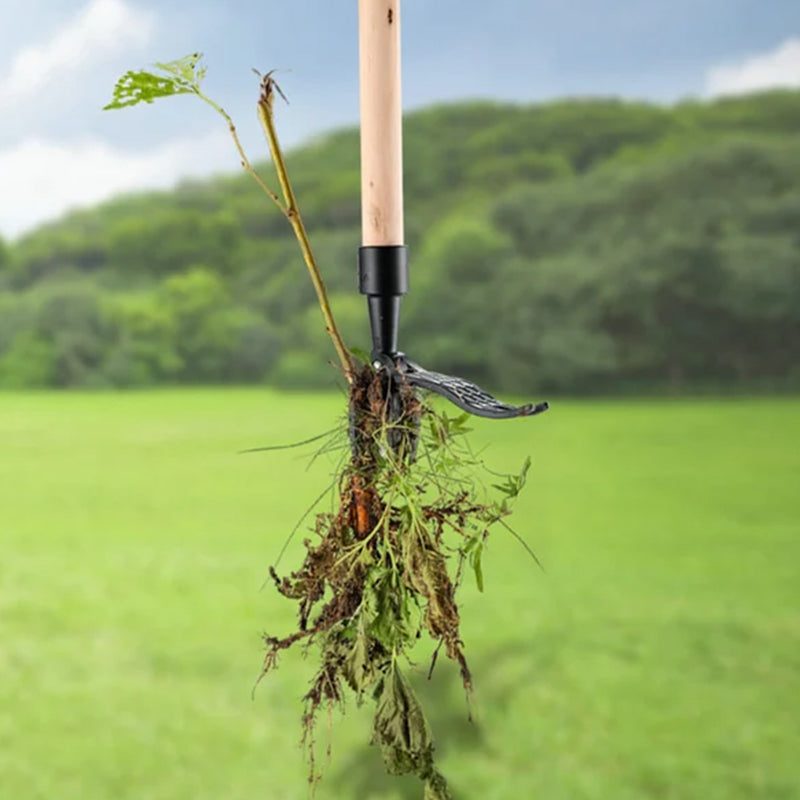 ErgoWeed Stainless Steel Weeder With Detachable Handle For Easy Weeding