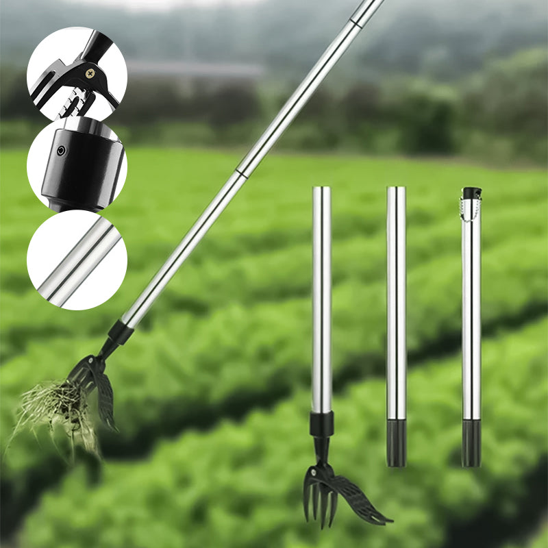 ErgoWeed Stainless Steel Weeder With Detachable Handle For Easy Weeding