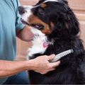 GroomRight Detangling Tool For Gentle Knot Removal On All Coat Types