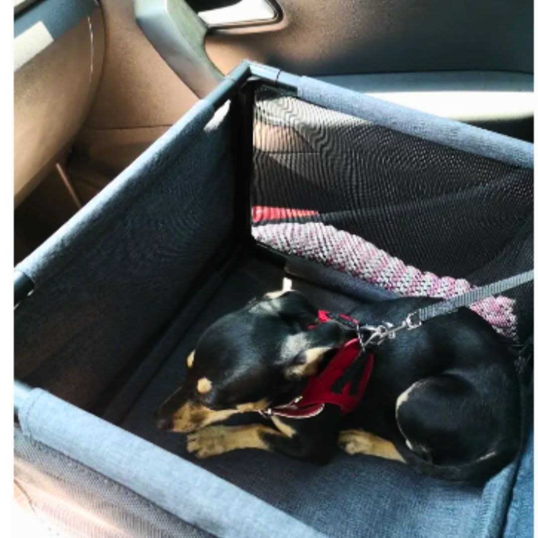 HAMMIPAW Car Seat For Pets Versatile Design And Waterproof Material Vehicle Protection