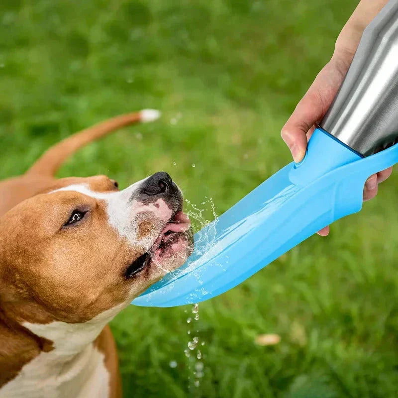 Hydration Solution Insulated Water Bottle For Outdoor Travel With Dogs
