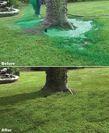 Lawn Care Solution Nourishing Liquid Spray For Lush Green Lawns