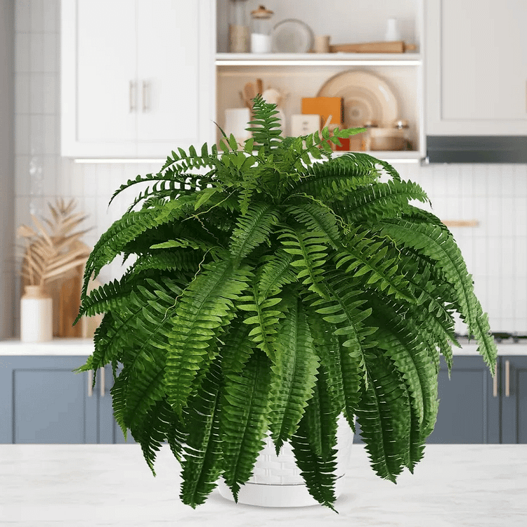 Lifelike Boston Fern Artificial Plant For Outdoor Decor UV Resistant