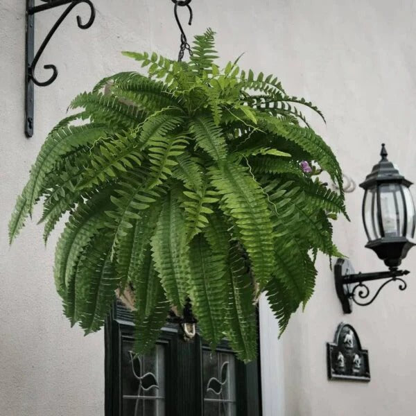 Lifelike Boston Fern Artificial Plant UV Resistant For Indoor And Outdoor Decor