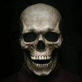 Lifelike Skull Mask With Movable Jaw For Halloween And Cosplay