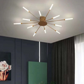 LumenMax Contemporary LED Ceiling Light For Living Areas And Bedrooms