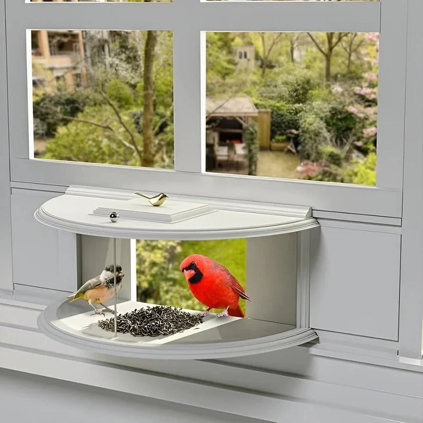 Nature's View Window Feeder For Birds With Easy Suction Cup Mount