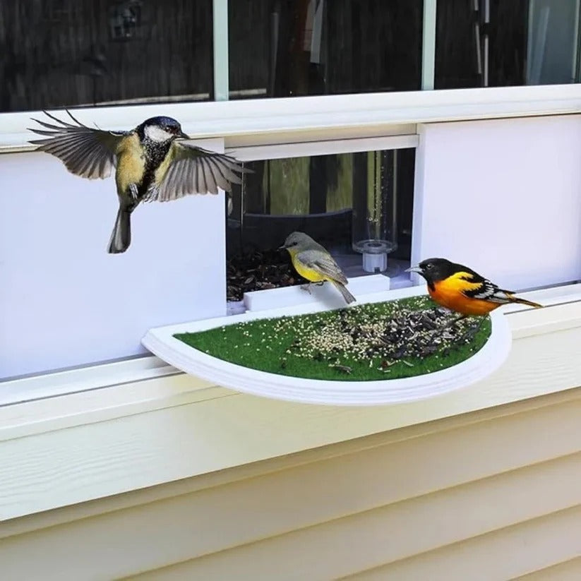 Nature's View Window Feeder For Birds With Easy Suction Cup Mount