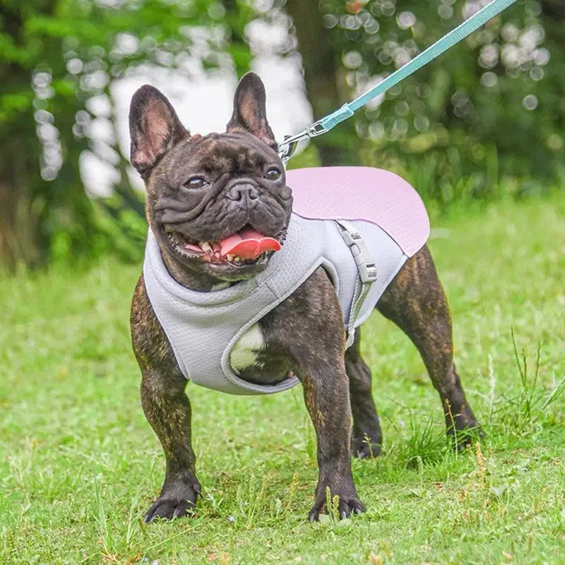 Outdoor Companion Cooling Vest For Dogs With Three-Layer Fabric Instant Relief
