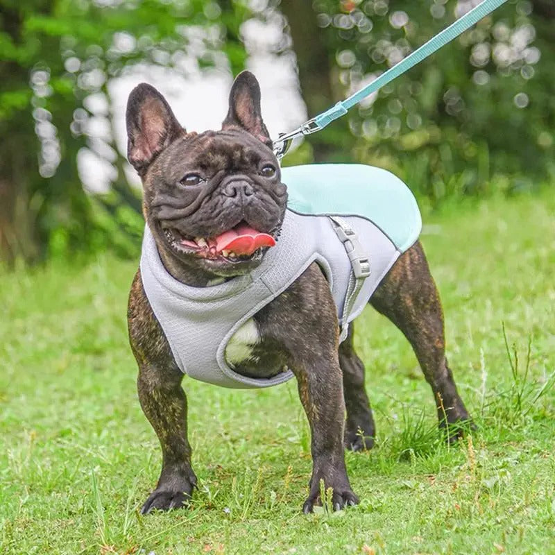 Outdoor Companion Cooling Vest For Dogs With Three-Layer Fabric Instant Relief