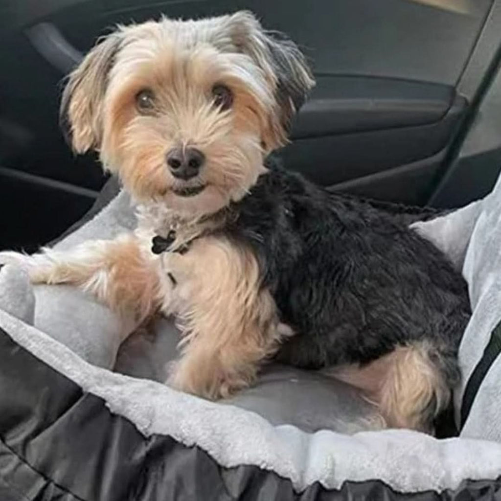 PAWRIDER Waterproof Detachable Dog Seat For Comfortable Car Travel