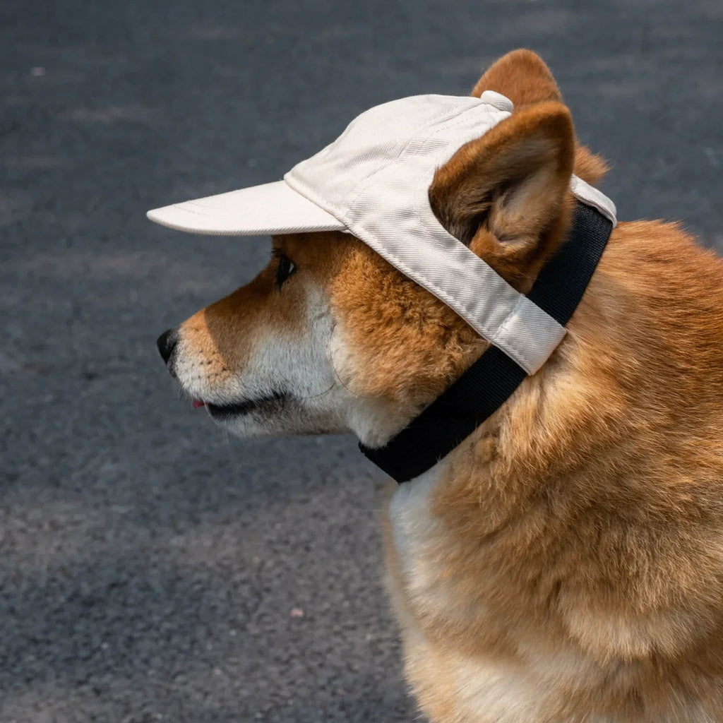 PawShade Adjustable Summer Hat For Dogs With Ear Openings