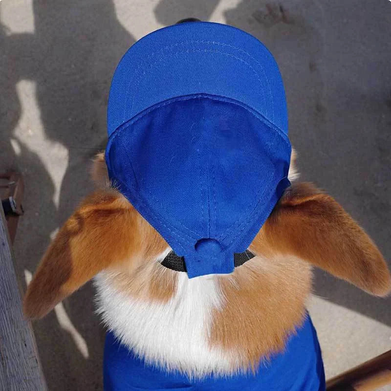 PawShade Adjustable Summer Hat For Dogs With Ear Openings