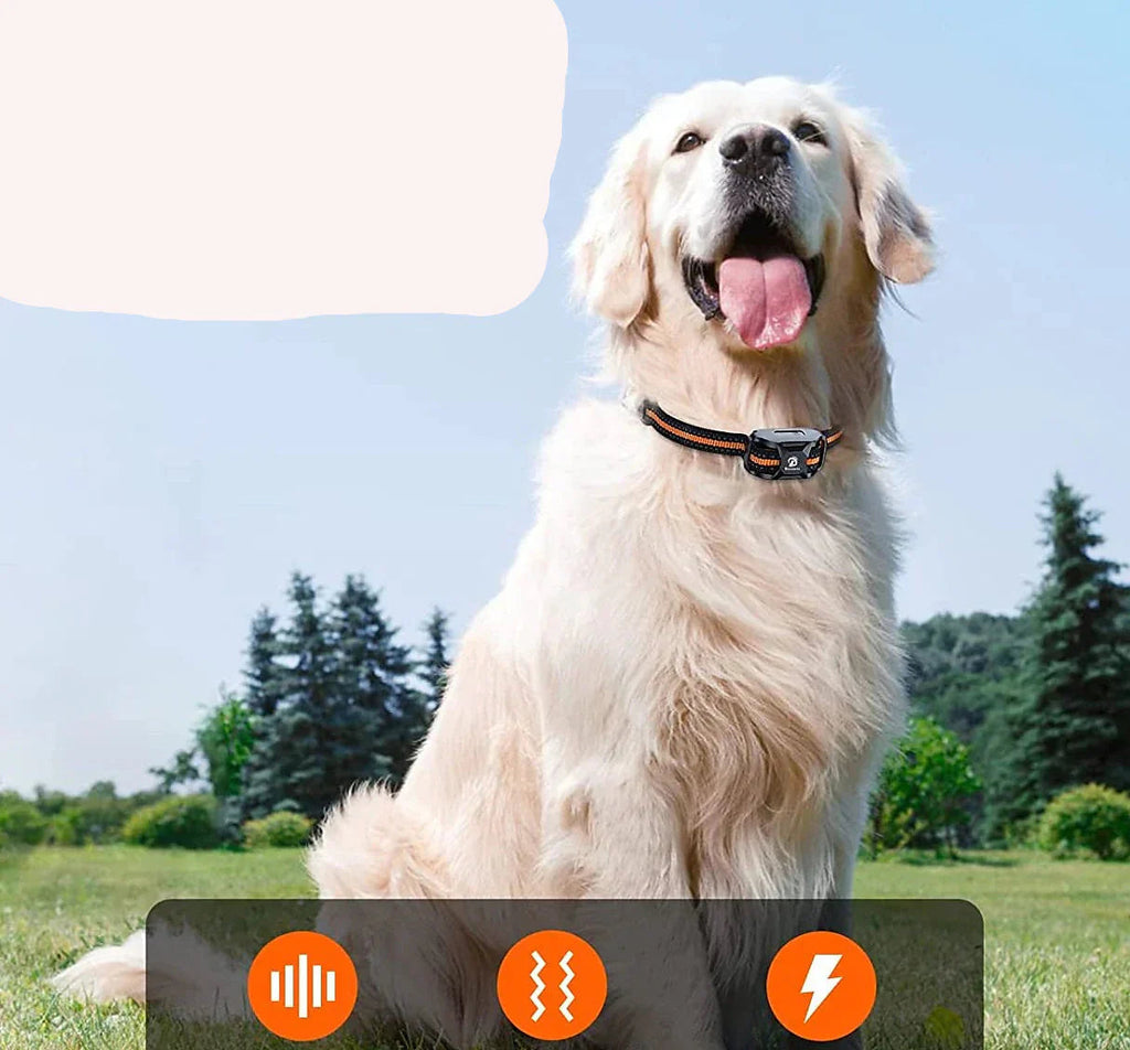 Pawfey Waterproof Dog Training Collar With 1000 Meter Range And Rechargeable
