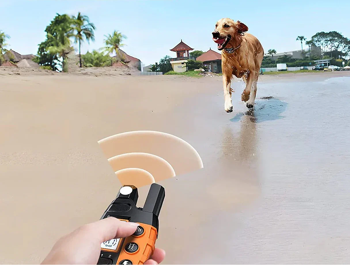 Pawfey Waterproof Dog Training Collar With 1000 Meter Range And Rechargeable