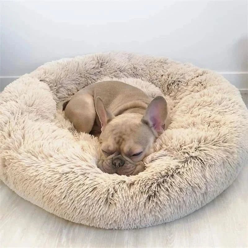 Pawfey Calming Bed For Dogs With Ergonomic Support And Soft Comfort