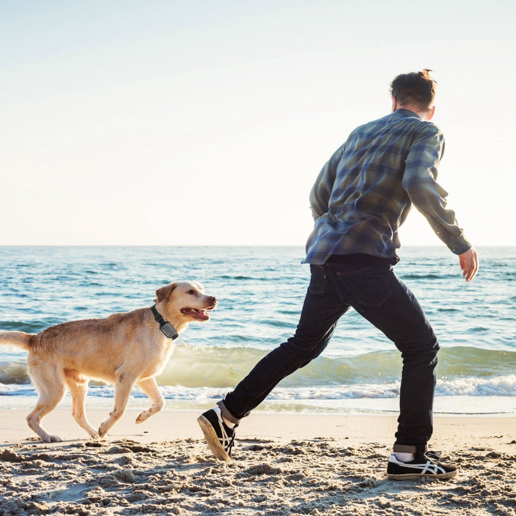 Pawfey GPS Boundary System For Dogs With Adjustable Range Outdoor