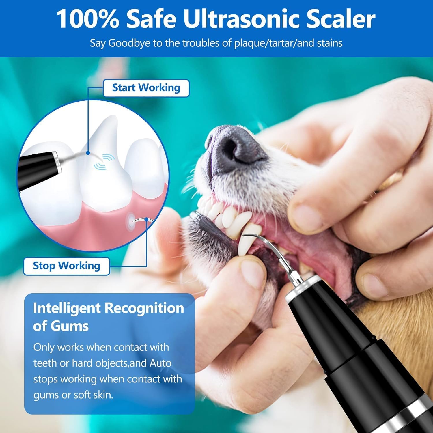 Pet Care Essentials Ultrasonic Dog Dental Cleaner For Quick And Gentle Teeth Cleaning