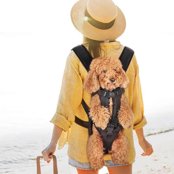 Pet Carrier Cockpit Waterproof Dog And Cat Carrier Backpack With Adjustable Comfort Fit