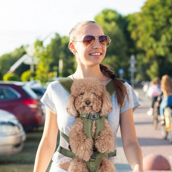 Pet Carrier Cockpit Waterproof Dog And Cat Carrier Backpack With Adjustable Comfort Fit