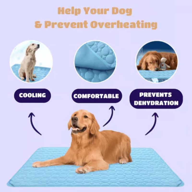Pet Comfort Cooling Dog Mat With Non-Gel Technology, Easy Care Surface