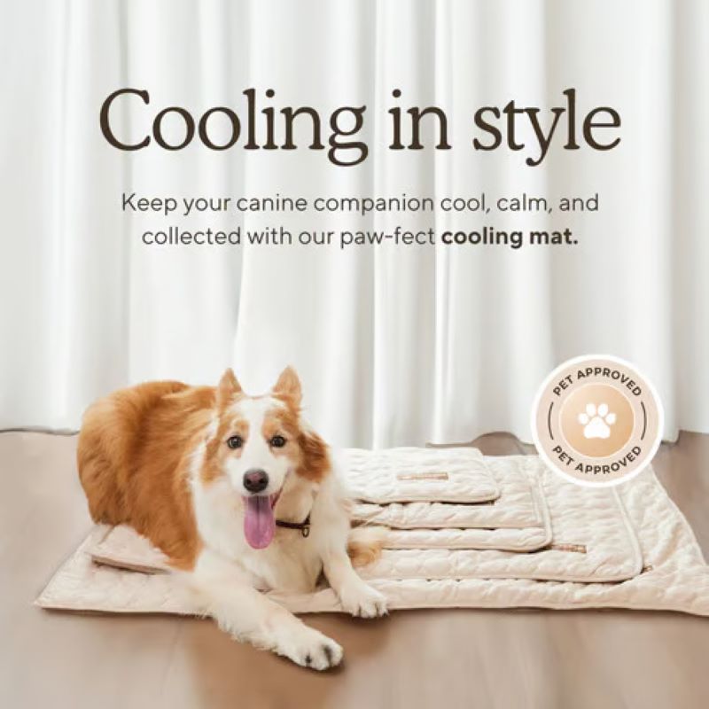 Pet Comfort Cooling Dog Mat With Non-Gel Technology, Easy Care Surface