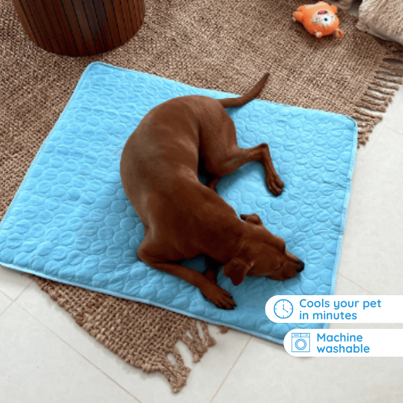Pet Comfort Self Cooling Dog Mat For Hot Weather Relief