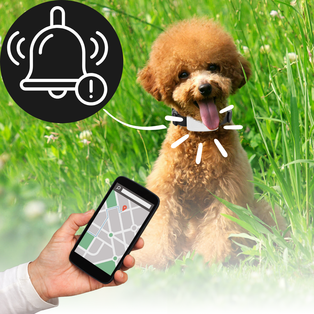 GPS Pet Collar With Live Location Tracking Waterproof Design