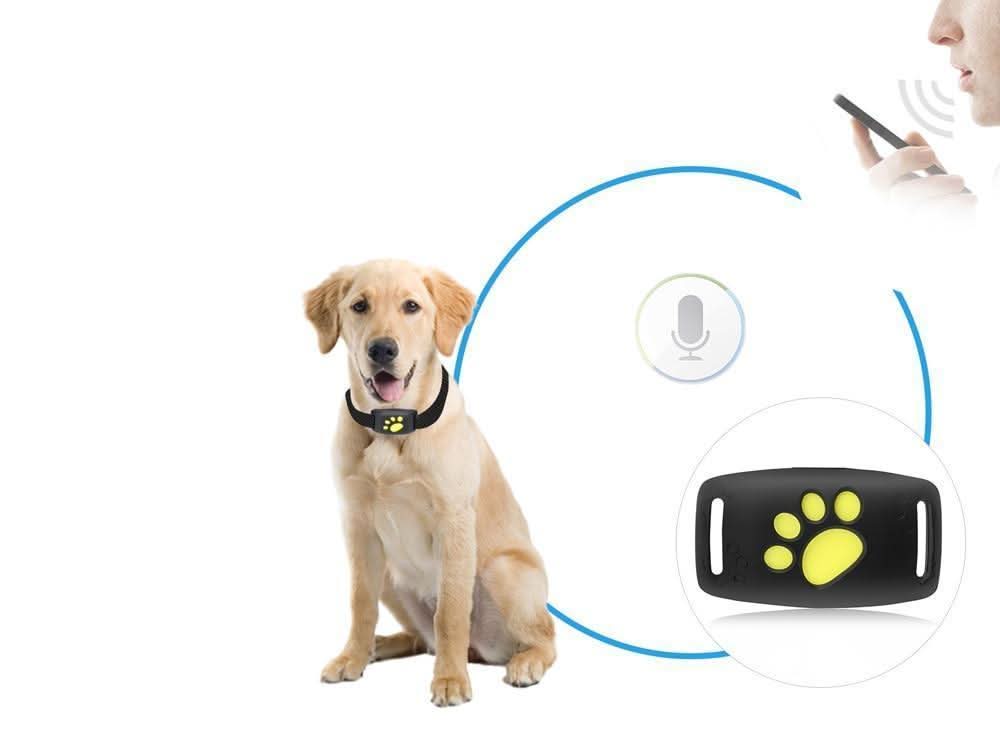 Pet Tracker Series Cat Collar GPS With Real Time Location Updates