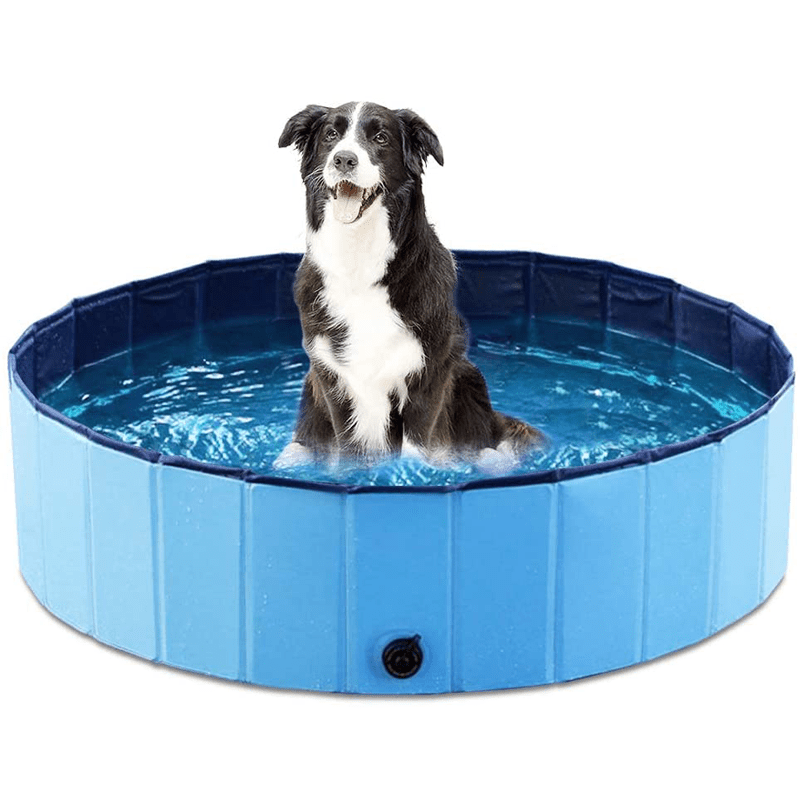 QuickDip Summer Collapsible Dog Pool With Easy Setup For Small And Medium Dogs