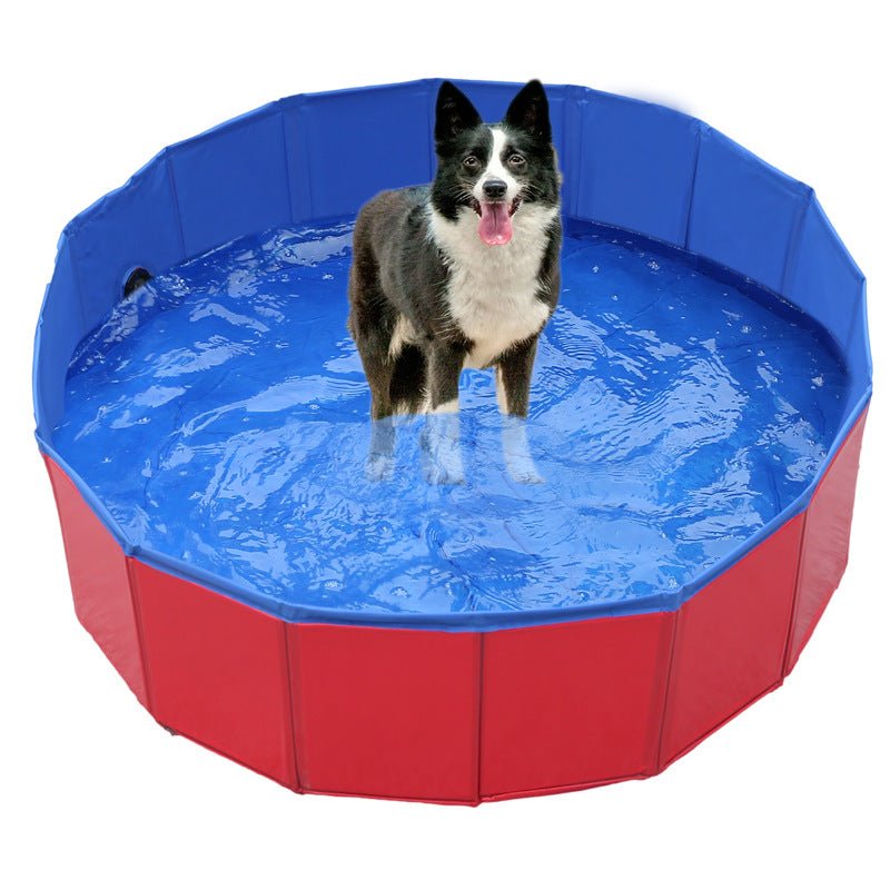 QuickDip Summer Collapsible Dog Pool With Easy Setup For Small And Medium Dogs