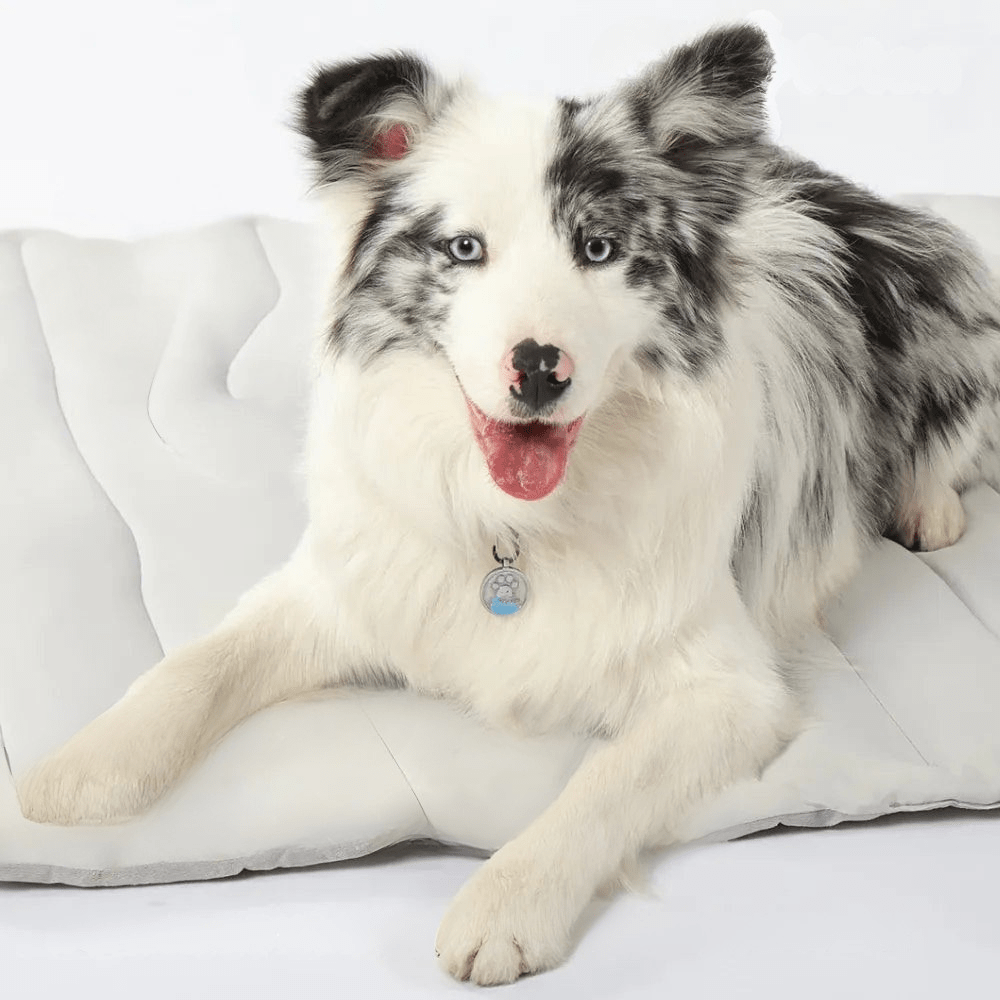 Portable Self-Cooling Dog Mat With Auto Cooling Tech For Instant Relief