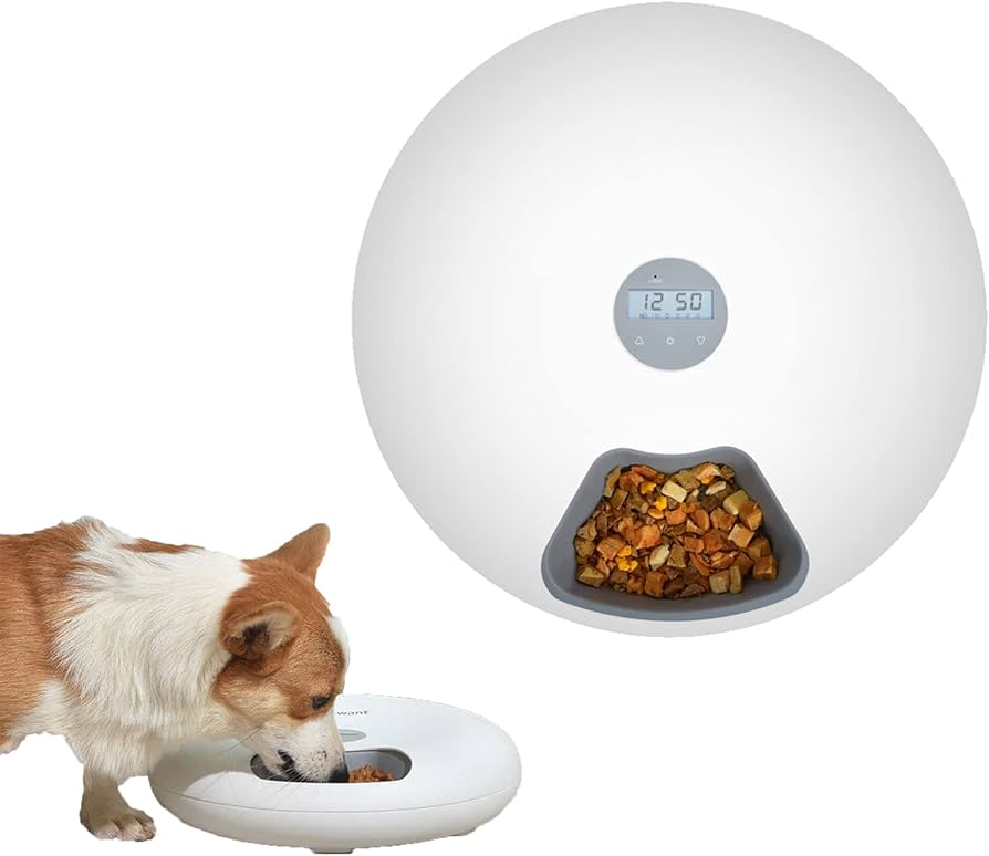 Six Compartments Smart Automatic Feeder For Cats And Dogs