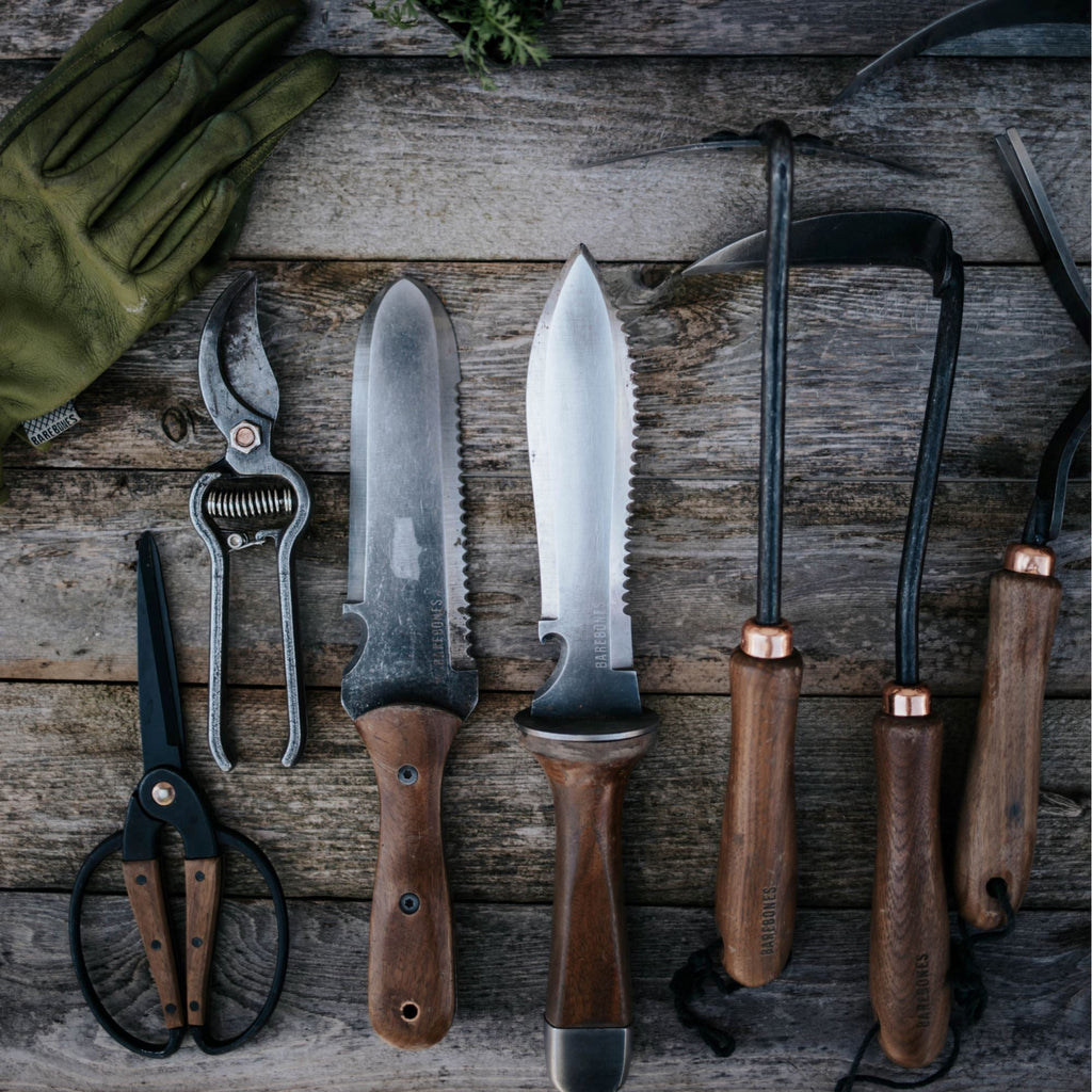 TrailForge Survival Knife With Ergonomic Grip And Durable Blade Compact Outdoor Tool