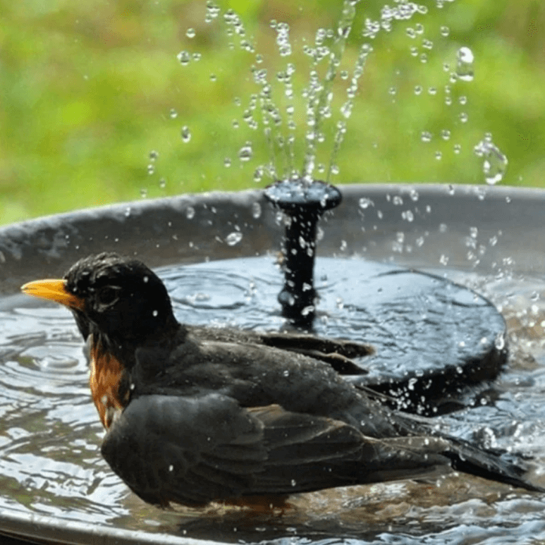 Tranquil Oasis Solar-Powered Fountain Featuring Adjustable Spray For Outdoor Decor